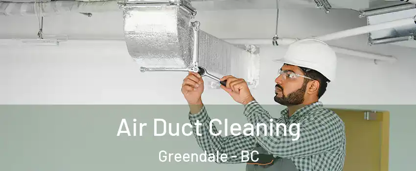 Air Duct Cleaning Greendale - BC