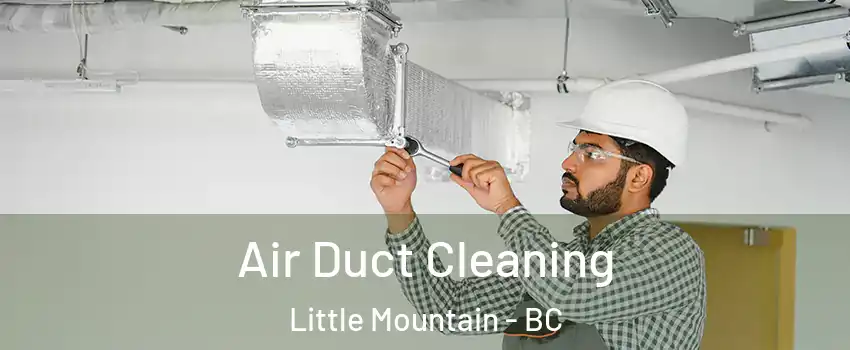 Air Duct Cleaning Little Mountain - BC