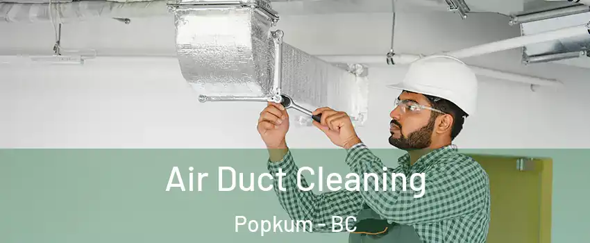 Air Duct Cleaning Popkum - BC