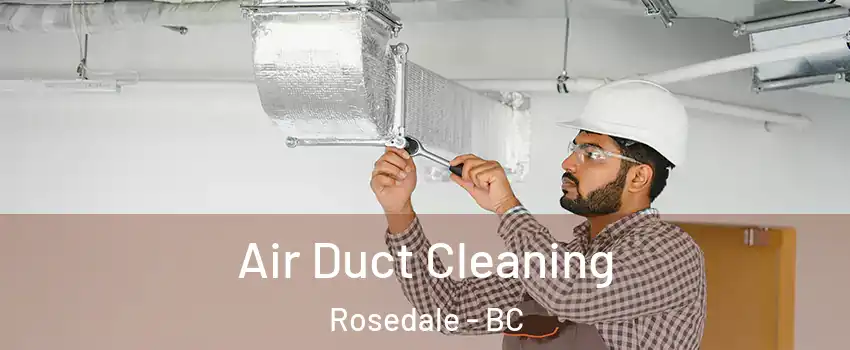 Air Duct Cleaning Rosedale - BC