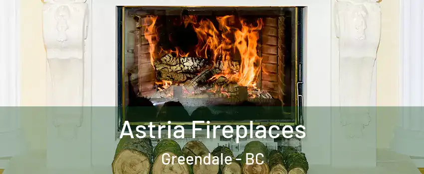 Astria Fireplaces Greendale - BC
