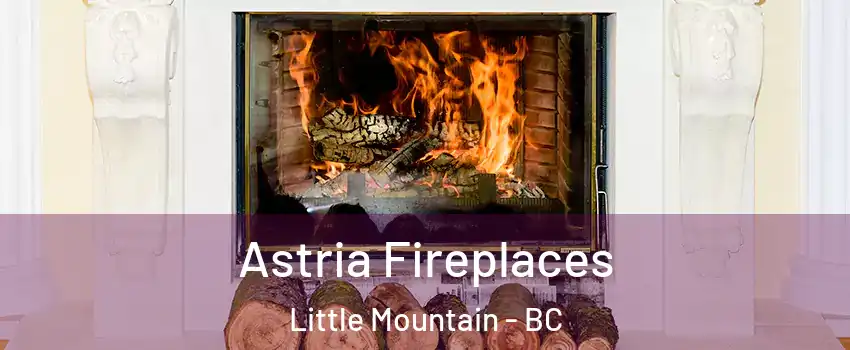 Astria Fireplaces Little Mountain - BC