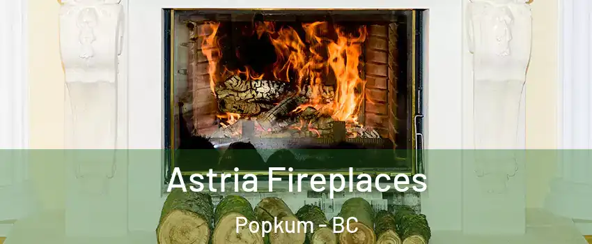 Astria Fireplaces Popkum - BC