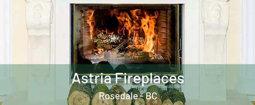 Astria Fireplaces Rosedale - BC