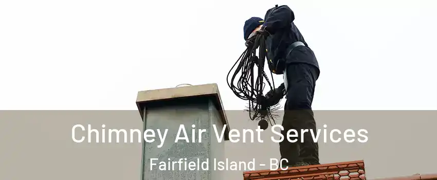  Chimney Air Vent Services Fairfield Island - BC