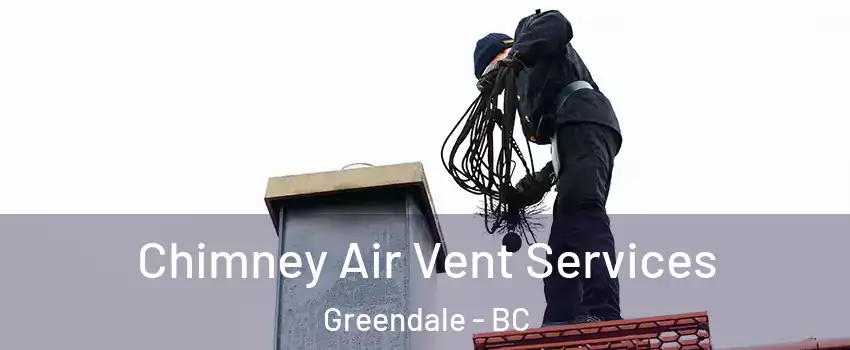 Chimney Air Vent Services Greendale - BC