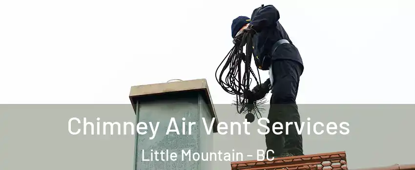 Chimney Air Vent Services Little Mountain - BC