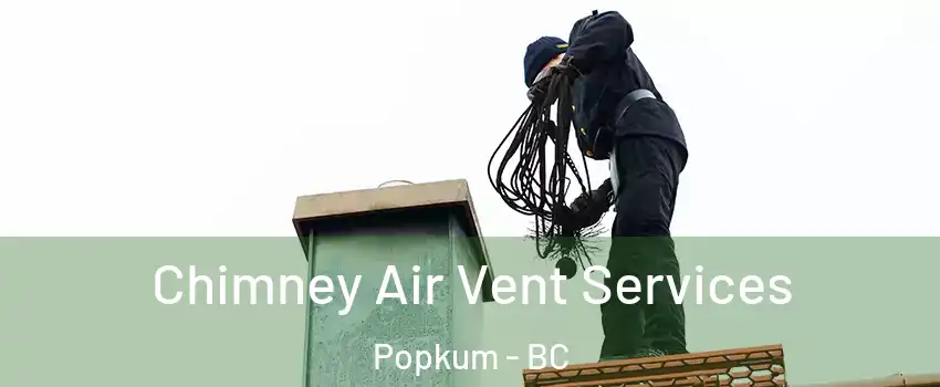 Chimney Air Vent Services Popkum - BC