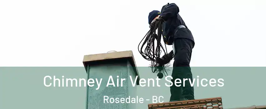 Chimney Air Vent Services Rosedale - BC