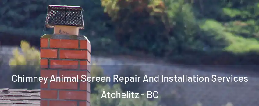 Chimney Animal Screen Repair And Installation Services Atchelitz - BC
