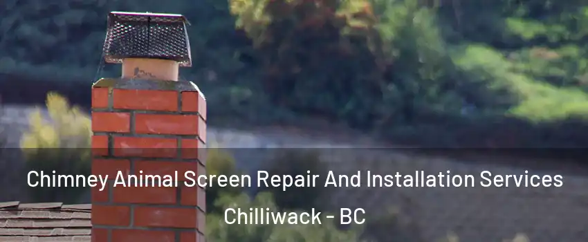  Chimney Animal Screen Repair And Installation Services Chilliwack - BC