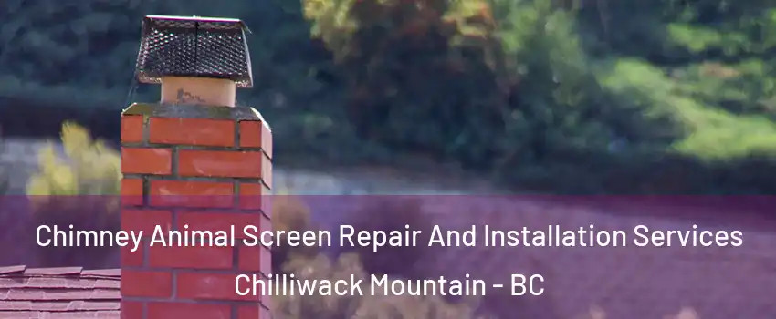 Chimney Animal Screen Repair And Installation Services Chilliwack Mountain - BC