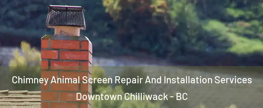 Chimney Animal Screen Repair And Installation Services Downtown Chilliwack - BC