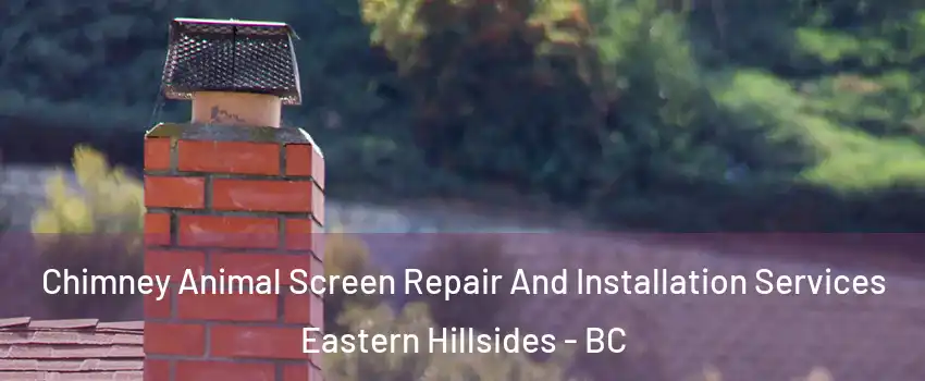  Chimney Animal Screen Repair And Installation Services Eastern Hillsides - BC