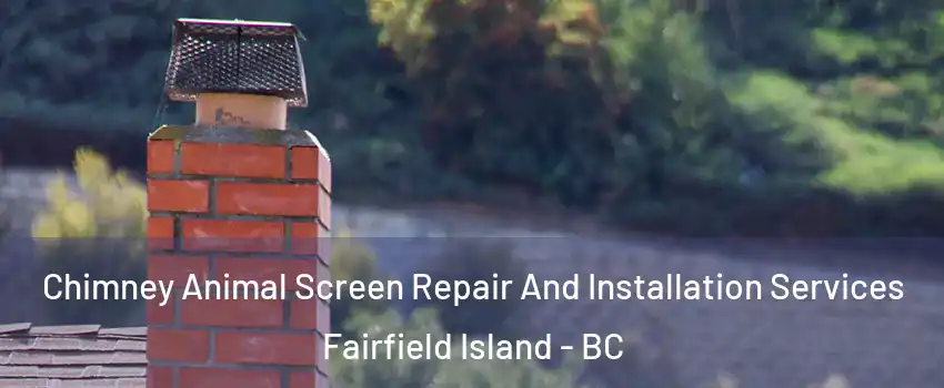 Chimney Animal Screen Repair And Installation Services Fairfield Island - BC