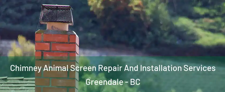 Chimney Animal Screen Repair And Installation Services Greendale - BC