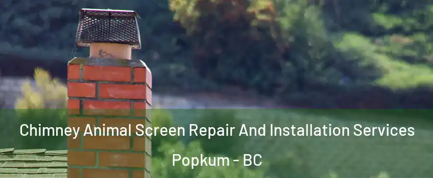 Chimney Animal Screen Repair And Installation Services Popkum - BC