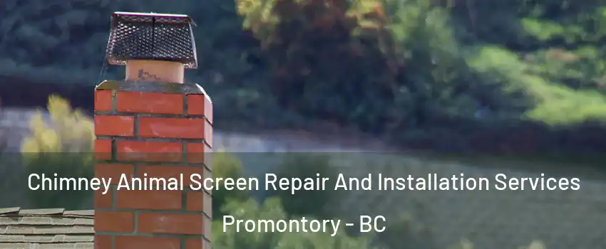Chimney Animal Screen Repair And Installation Services Promontory - BC