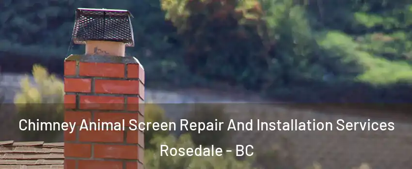 Chimney Animal Screen Repair And Installation Services Rosedale - BC