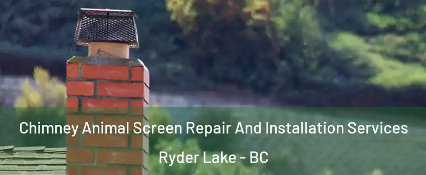 Chimney Animal Screen Repair And Installation Services Ryder Lake - BC
