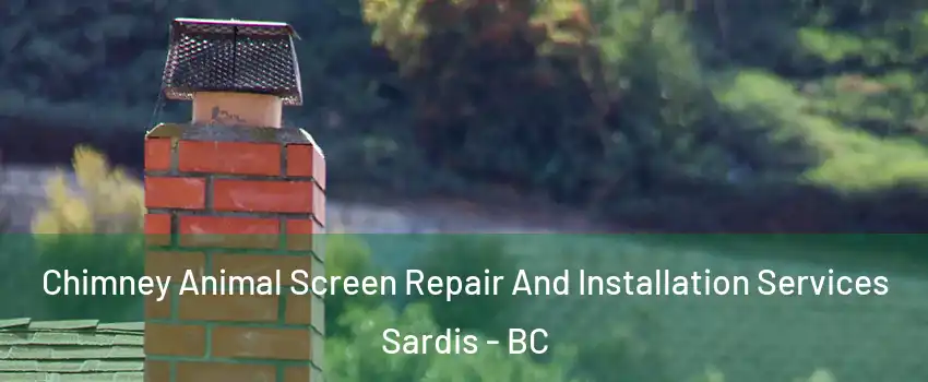 Chimney Animal Screen Repair And Installation Services Sardis - BC