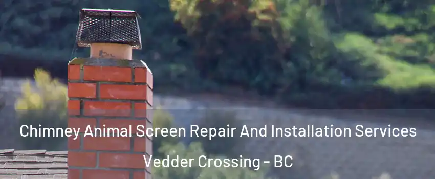 Chimney Animal Screen Repair And Installation Services Vedder Crossing - BC