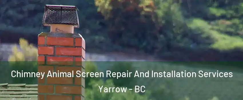 Chimney Animal Screen Repair And Installation Services Yarrow - BC