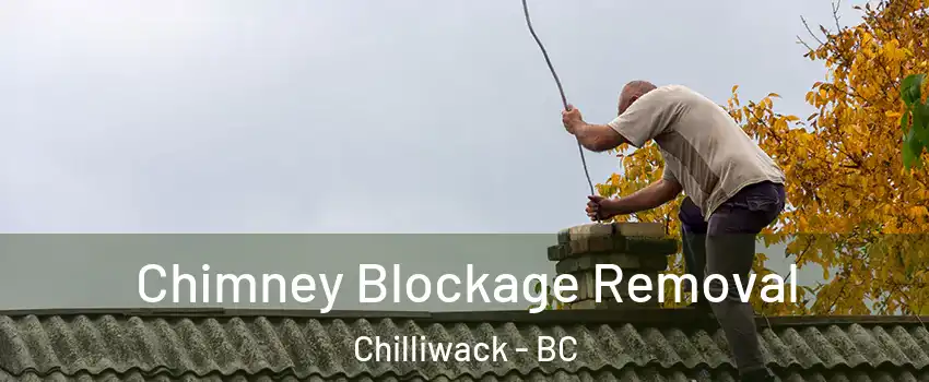  Chimney Blockage Removal Chilliwack - BC
