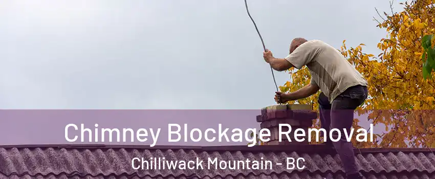 Chimney Blockage Removal Chilliwack Mountain - BC