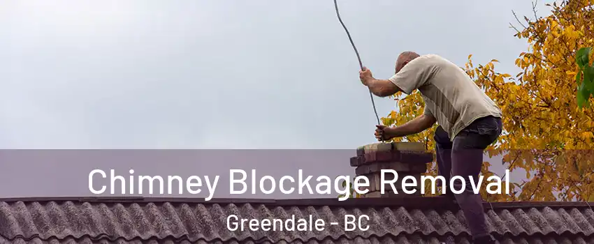 Chimney Blockage Removal Greendale - BC