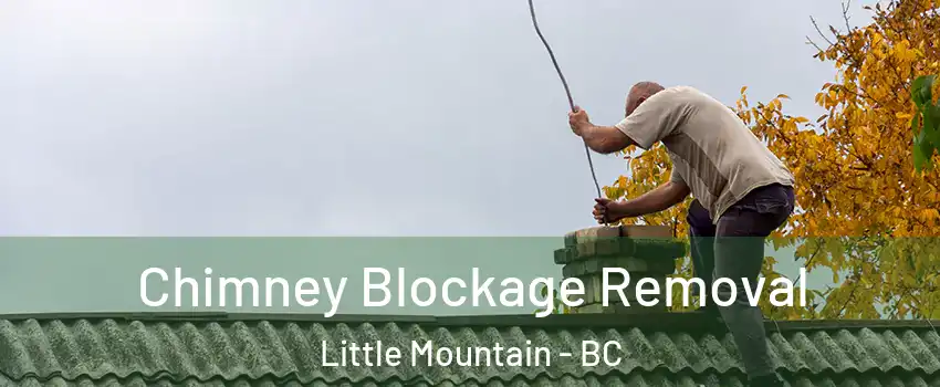 Chimney Blockage Removal Little Mountain - BC