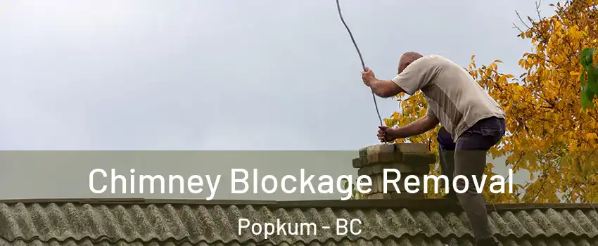 Chimney Blockage Removal Popkum - BC