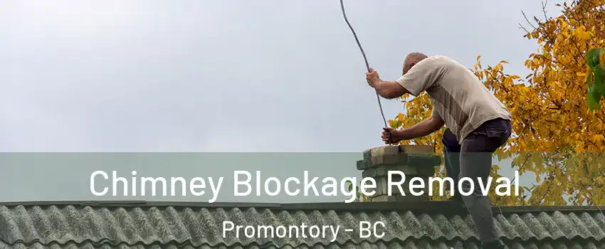 Chimney Blockage Removal Promontory - BC