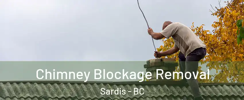 Chimney Blockage Removal Sardis - BC