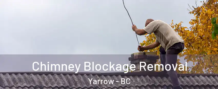 Chimney Blockage Removal Yarrow - BC