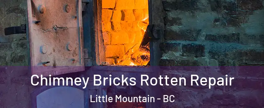 Chimney Bricks Rotten Repair Little Mountain - BC