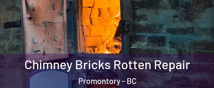 Chimney Bricks Rotten Repair Promontory - BC