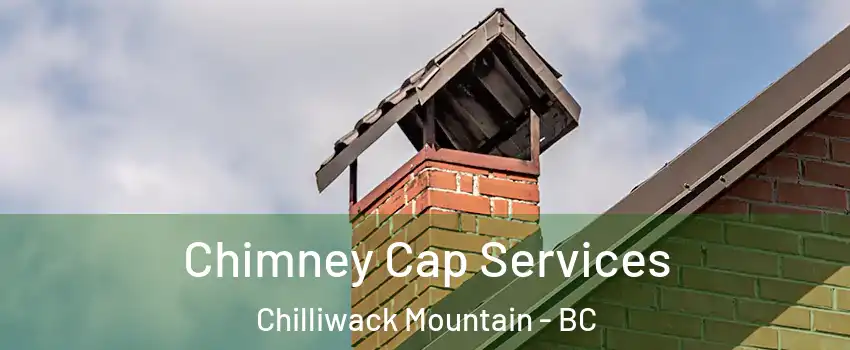 Chimney Cap Services Chilliwack Mountain - BC