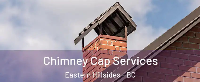 Chimney Cap Services Eastern Hillsides - BC