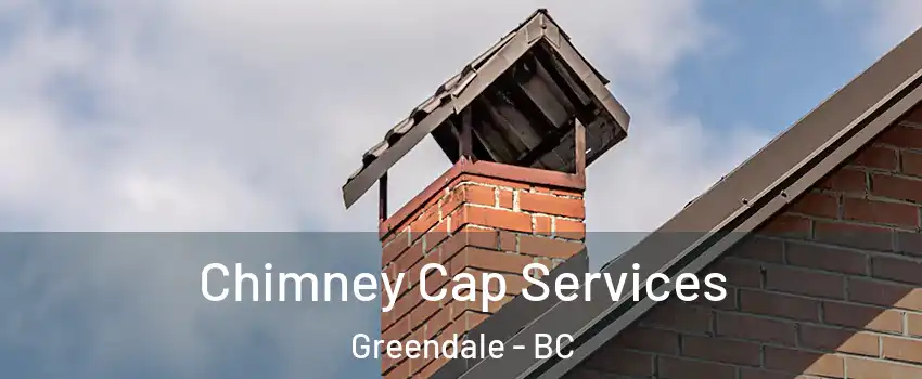 Chimney Cap Services Greendale - BC