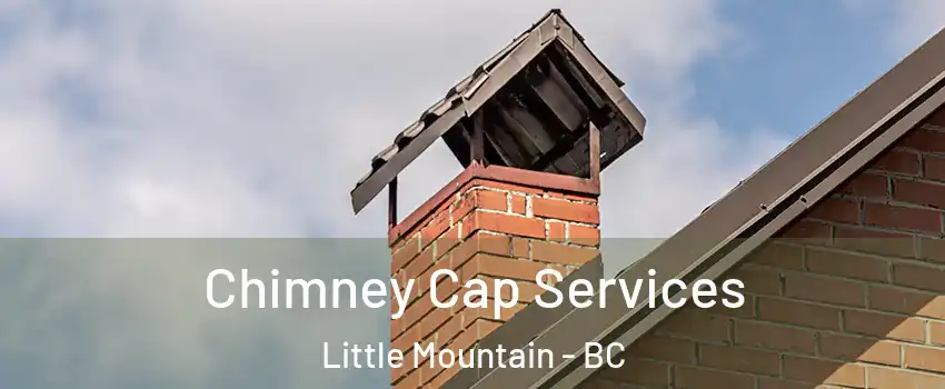 Chimney Cap Services Little Mountain - BC