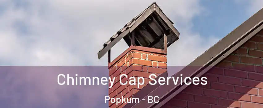 Chimney Cap Services Popkum - BC