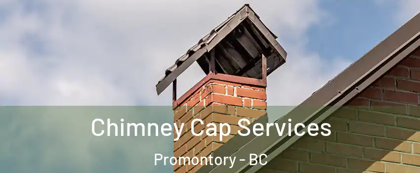 Chimney Cap Services Promontory - BC