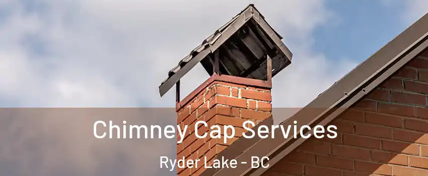 Chimney Cap Services Ryder Lake - BC