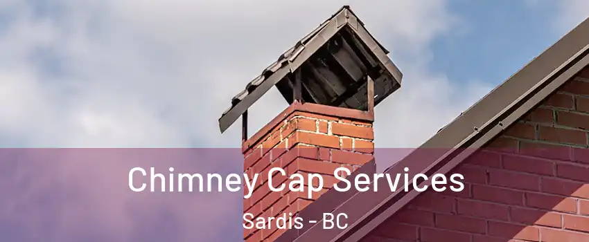Chimney Cap Services Sardis - BC