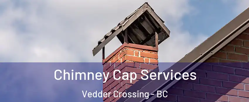 Chimney Cap Services Vedder Crossing - BC