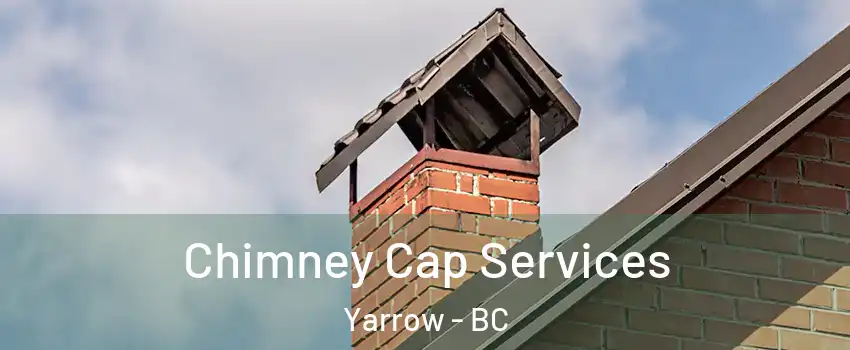 Chimney Cap Services Yarrow - BC