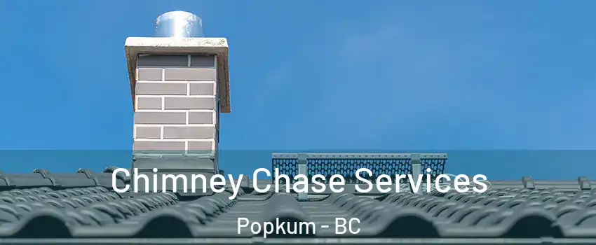 Chimney Chase Services Popkum - BC