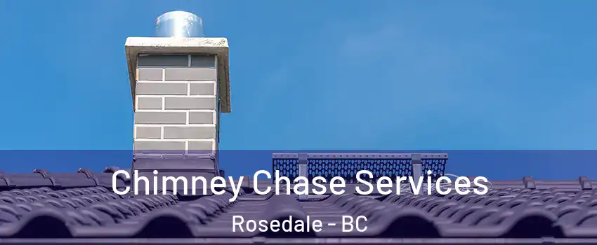 Chimney Chase Services Rosedale - BC