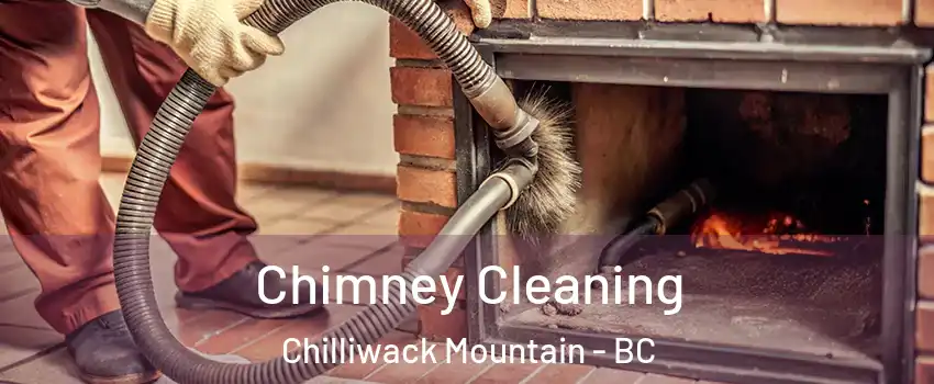 Chimney Cleaning Chilliwack Mountain - BC